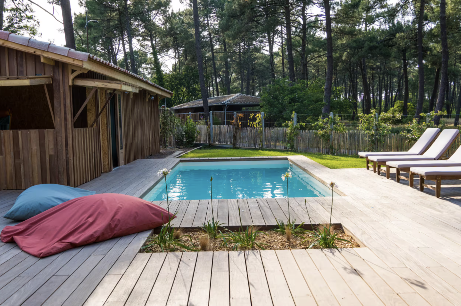 Jardin et piscine entourés de pins au Cap-Ferret